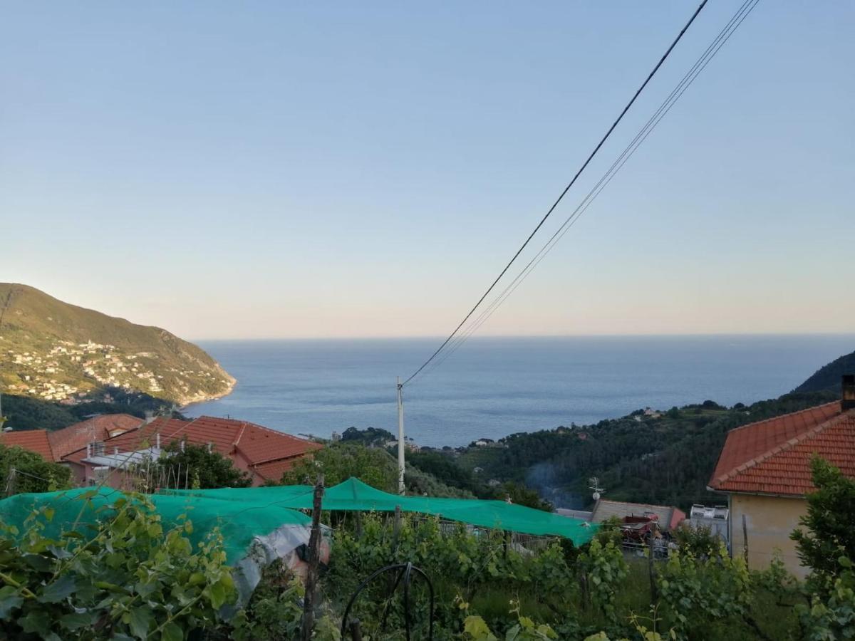Sentieri Sul Mare Vila Moneglia Exterior foto